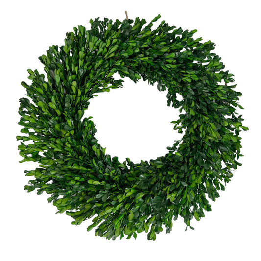 Naturally Preserved Green Boxwood Wreath 21" + Hanging Loop