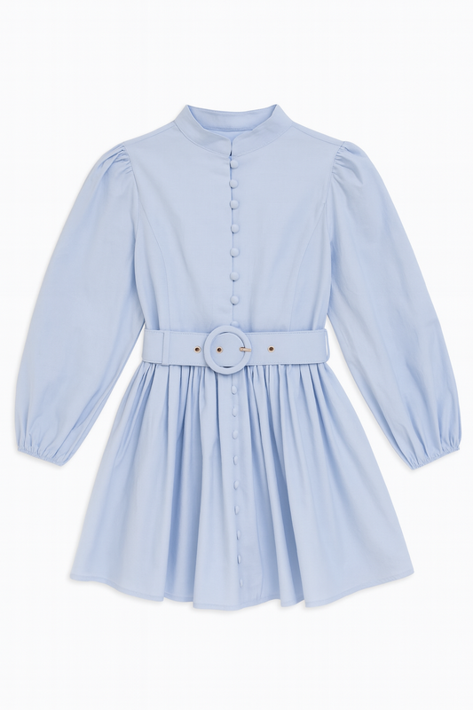 Mock Neck Mini Dress With Front Button